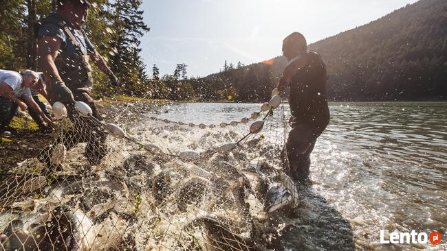 sieć na ryby włok zaciągowy z matnią