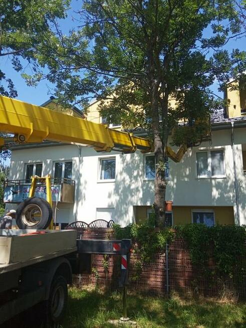 czyszczenie rynien, podnosnik koszowy, wycinka drzew Wrocław