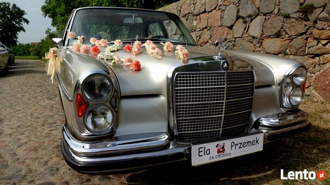 Auto do ślubu zabytkowy Mercedes W108