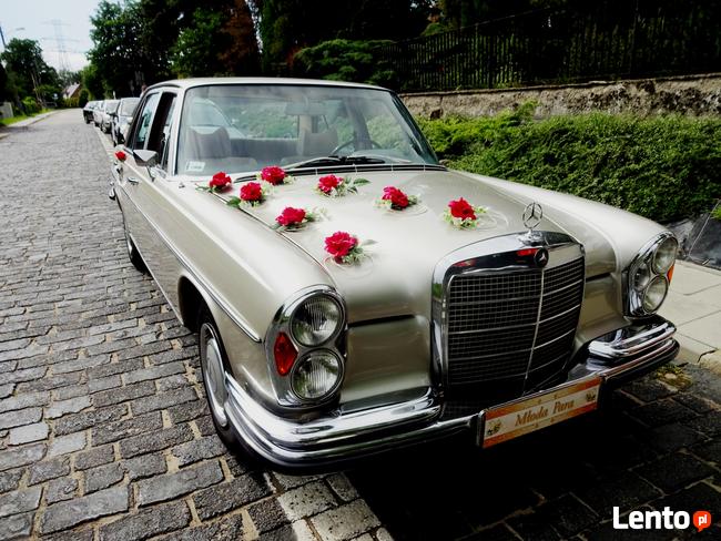 Auto do ślubu zabytkowy Mercedes W108