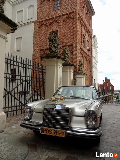 Auto do ślubu zabytkowy Mercedes W108