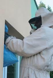 Usuwanie gnazd os i szerszeni