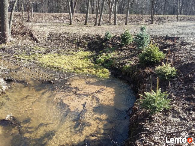 Działka z możliwościami