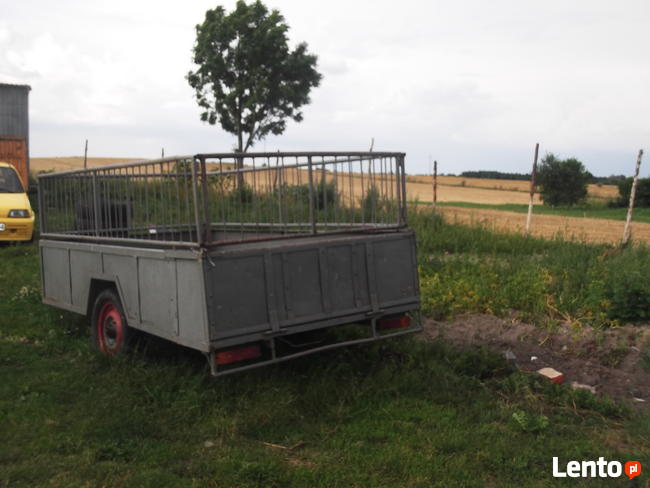 Przyczepka dwukółka do przewozu zwierząt