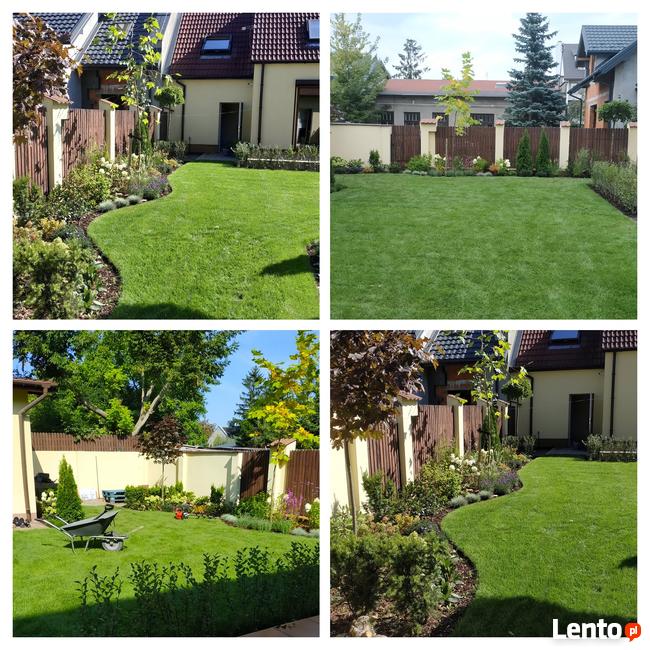 Trawnik zakładanie, Glebogryzarka separacyjna Usługi Avant