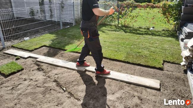 Trawnik zakładanie, Glebogryzarka separacyjna Usługi Avant