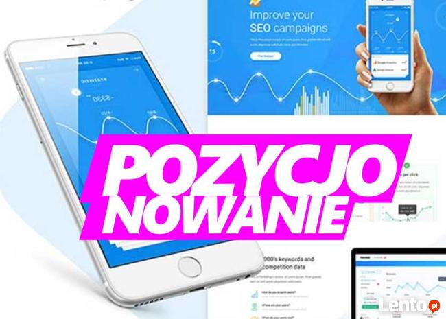 Pozycjonowanie stron WordPress sklepu internetowego