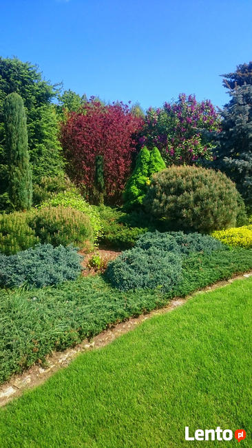 OGRODY SZPAKOWSKI. ZAKŁADANIE i PIELĘGNACJA OGRODÓW.
