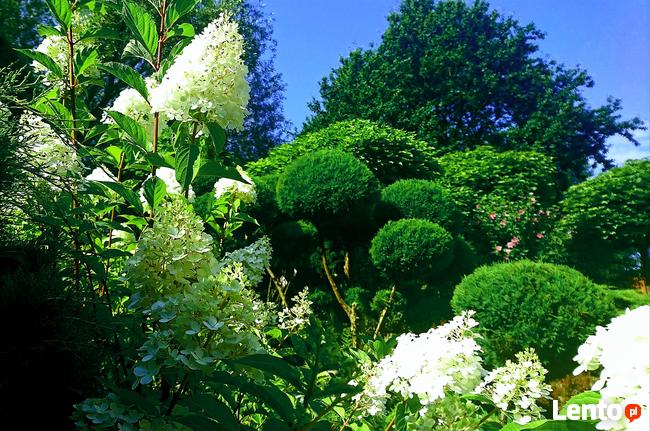 OGRODY SZPAKOWSKI. ZAKŁADANIE i PIELĘGNACJA OGRODÓW.