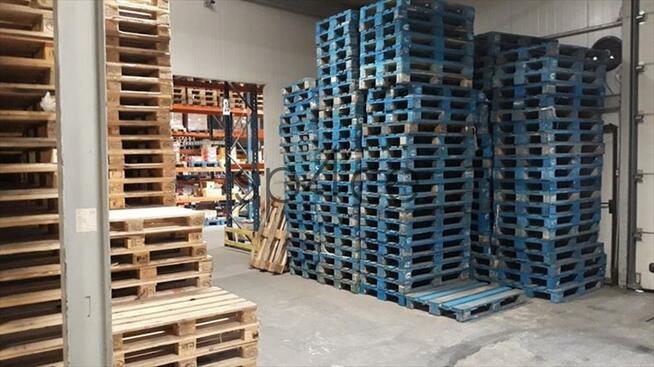 Hala/Magazyn, 8 488 m², Raszyn