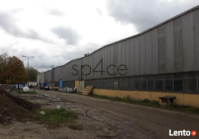 Hala/Magazyn, 2 339 m², Marki