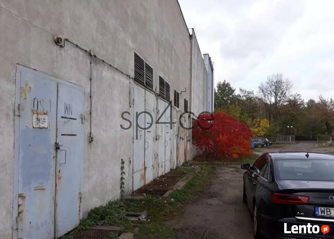 Hala/Magazyn, 2 339 m², Marki