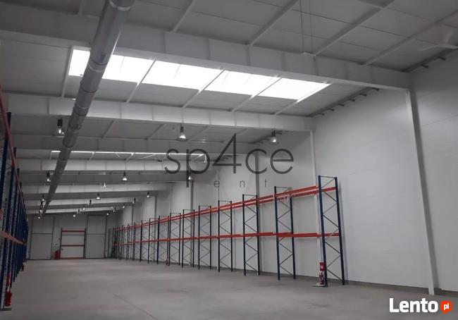 Hala/Magazyn, 3 500 m², Pruszków