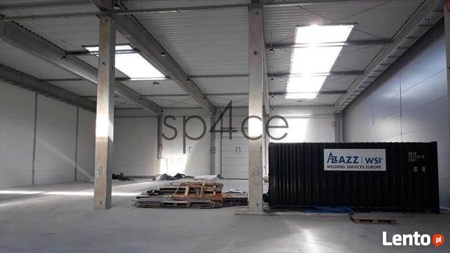 Hala/Magazyn, 6 000 m², Opole