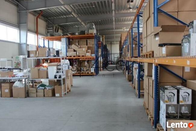 Hala/Magazyn, 3 878 m², Raszyn