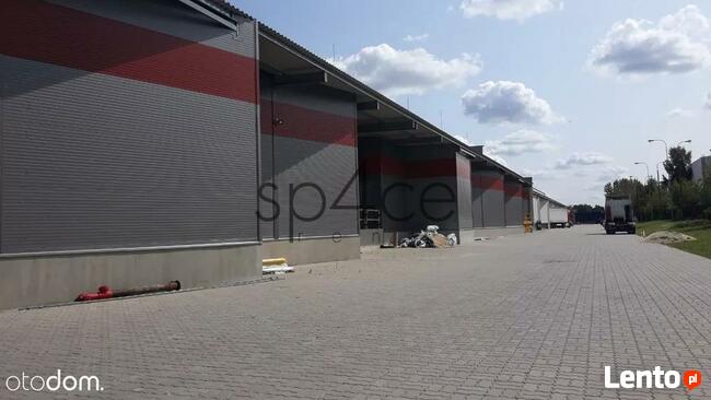 TORUN 3200 m2 - Wynajme Hala Magazyn