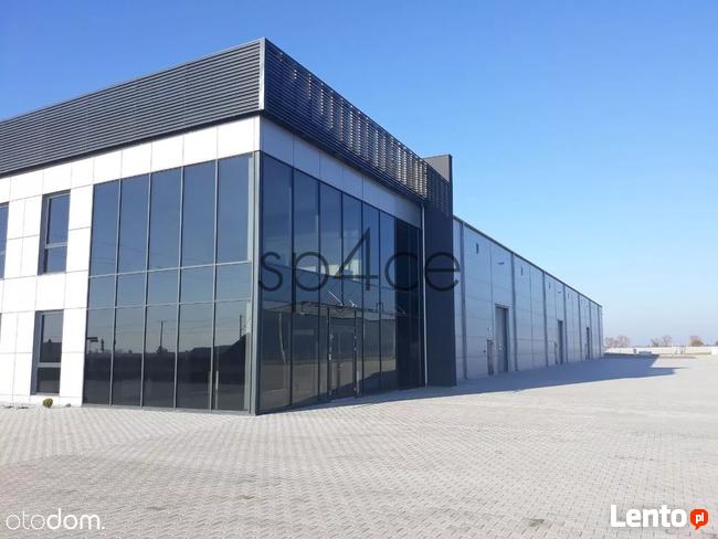 Hala/Magazyn, 2800 m² - BEZPOŚREDNIO