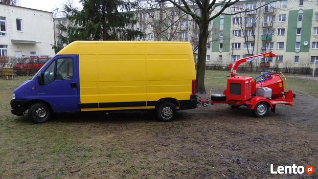 Wycinka drzew metodami alpinistycznymi