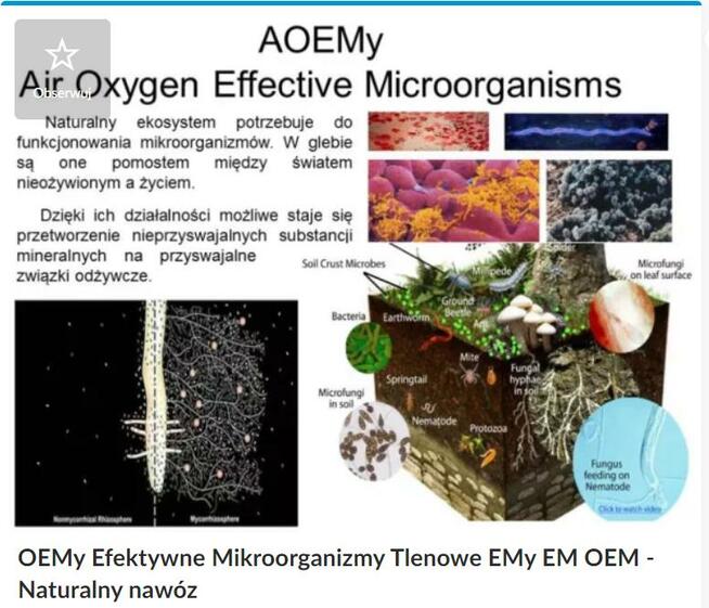 Oemy - Efektywne Mikroorganizmy Tlenowe dla rolnictwa. Emy