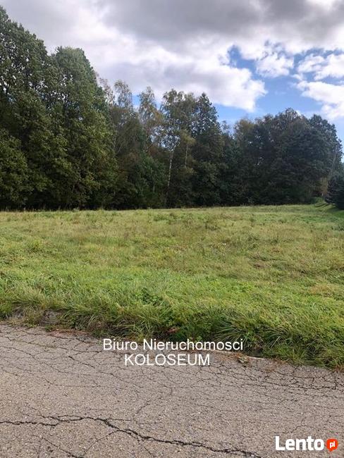 Działka budowlana Nowy Sącz