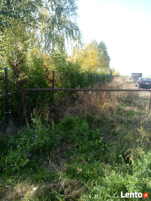 działka 68 arów Borkowo Kościelne k/Sierpca