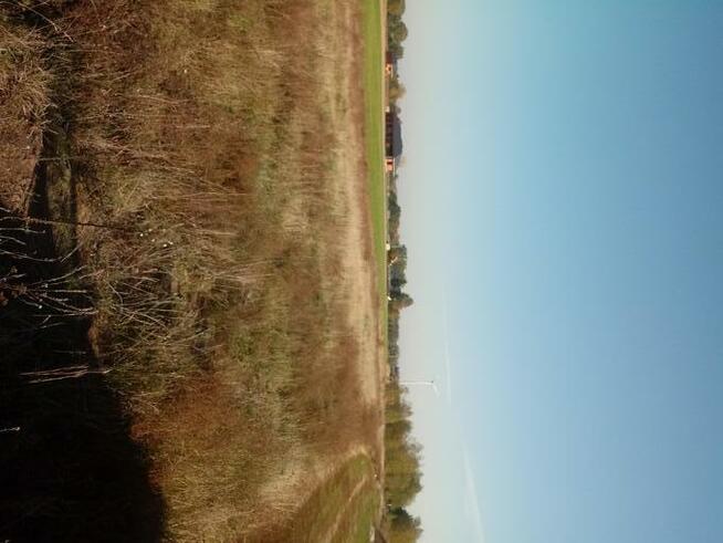 działka 68 arów Borkowo Kościelne k/Sierpca