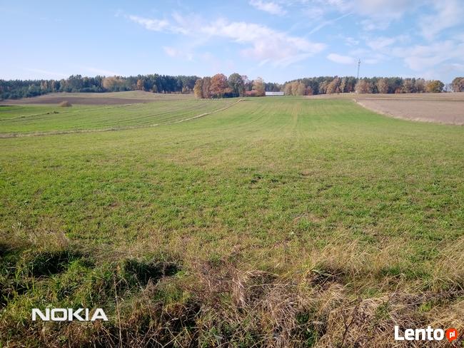 Stare Juchy .Działka 7500m2 -37złm2-