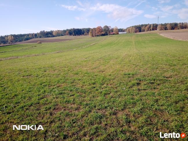 Stare Juchy .Działka 7500m2 -37złm2-
