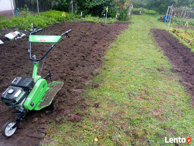 Osuszacz Powietrza wynajem Siedlce Kotuń 50l. 50zl/doba