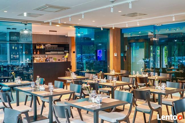 Designerskie Krzesła dębowe BENT - inaczej Skoczek PRL