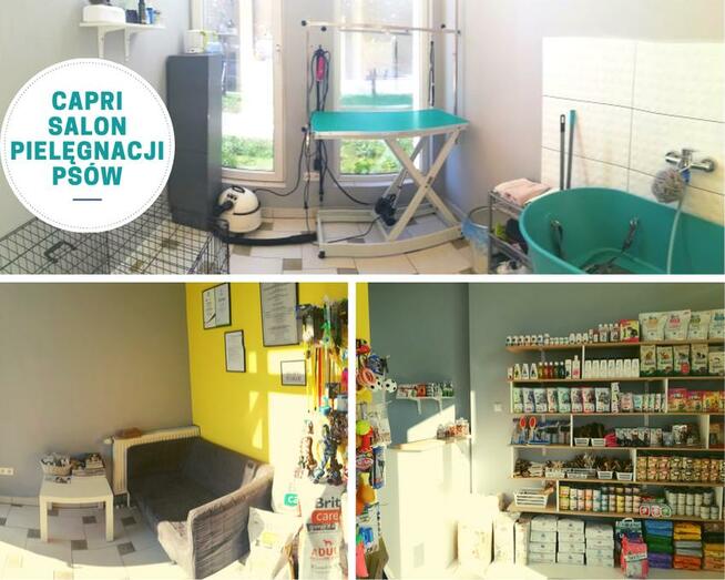 strzyzenie psow groomer lublin najtaniej