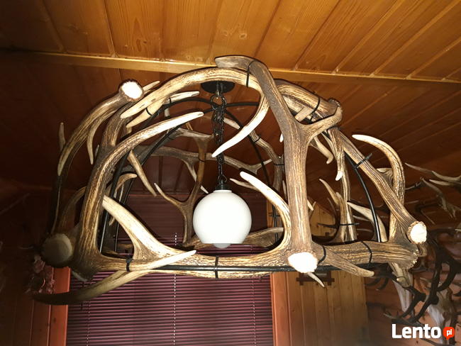 Żyrandol z poroża jelenia 16sztuk zrzutów waga 27kg.