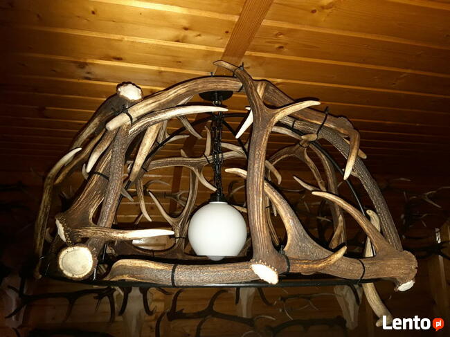 Żyrandol z poroża jelenia 16sztuk zrzutów waga 27kg.