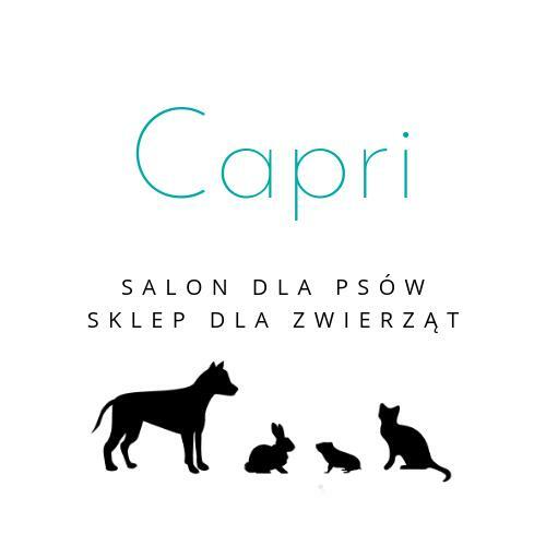 strzyzenie psow groomer lublin najtaniej