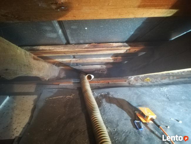 Badanie kamerą termowizyjną Wdmuchiwanie celulozy kuny zimno