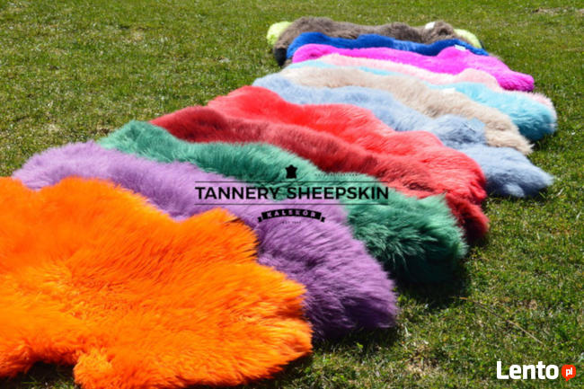 Skóry Owcze 14 KOLORÓW Skóra Owcza Dekoracyjna 101-120cm