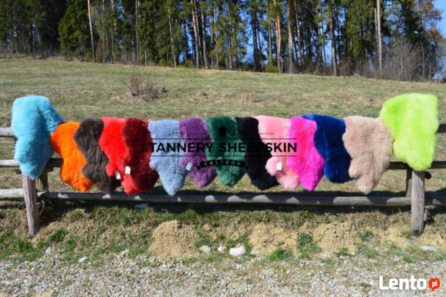 Skóry Owcze 14 KOLORÓW Skóra Owcza Dekoracyjna 101-120cm