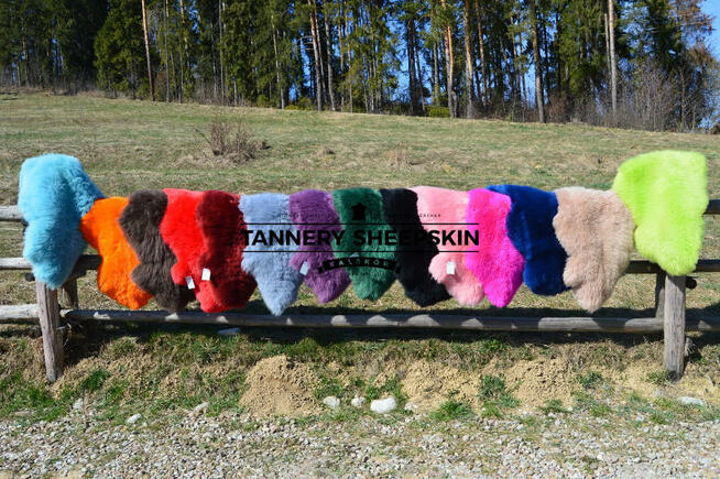 Skóry Owcze 14 KOLORÓW Skóra Owcza Dekoracyjna 101-120cm