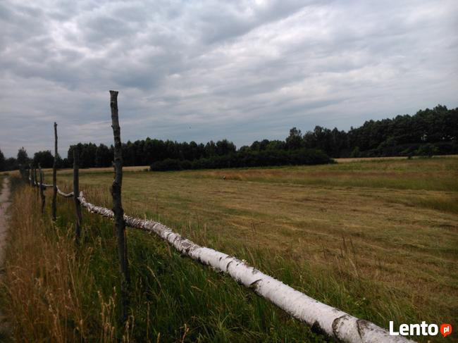 Sprzedam ranczo, działkę 13h