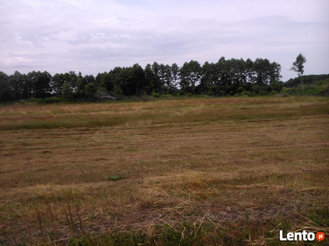 Sprzedam ranczo, działkę 13h