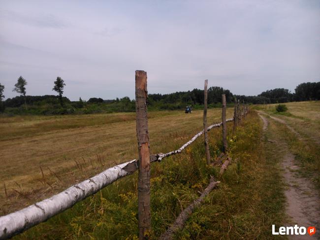 Sprzedam ranczo, działkę 13h
