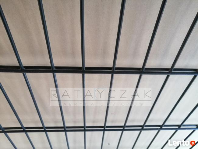 Panel 2D 6/5/6mm 1,23m Systemowe Przemysłowe