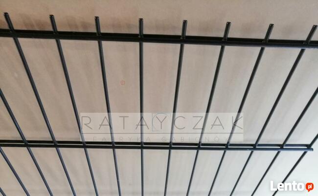 Panel 2D 6/5/6mm 1,03m Systemowe Przemysłowe