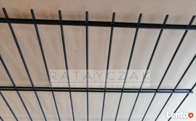 Panel 2D 8/6/8mm 1,23m Systemowe Przemysłowe