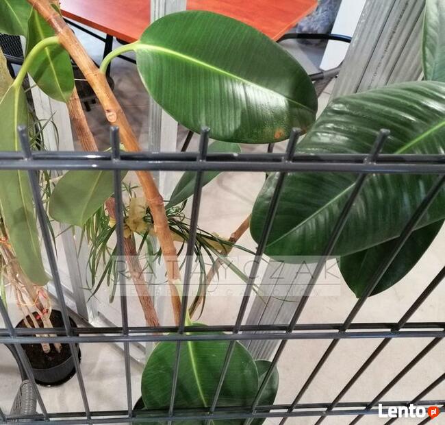 Panel 2D 8/6/8mm 2,03m Systemowe Przemysłowe