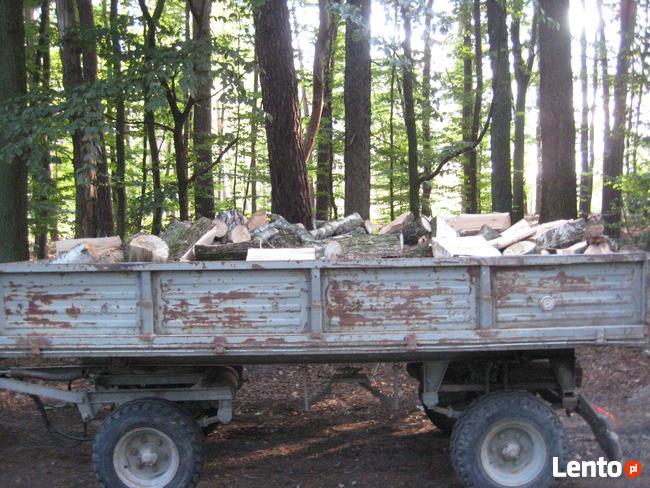 Drewno kominkowe: dąb, dąb czerwony, akacja - cięte i łupane