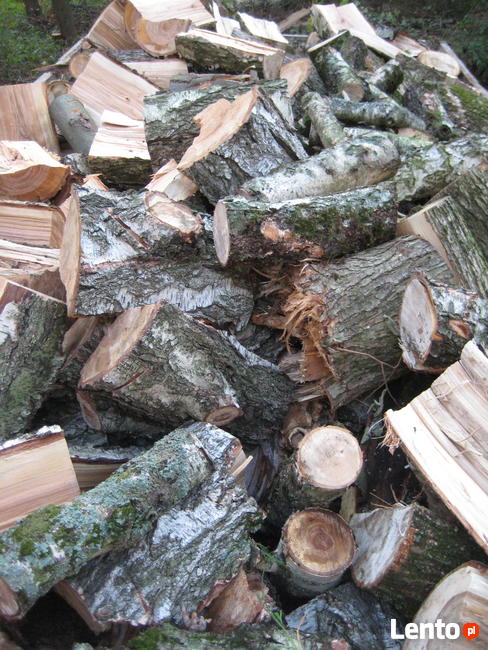 Drewno kominkowe: dąb, dąb czerwony, akacja - cięte i łupane