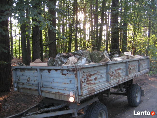 Drewno kominkowe: dąb, dąb czerwony, akacja - cięte i łupane