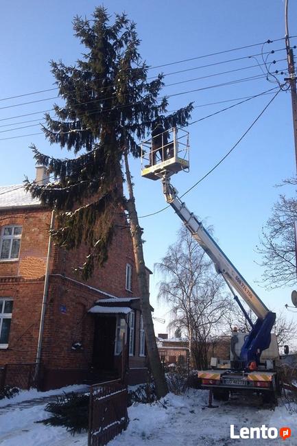 Wycinka i korekta drzew