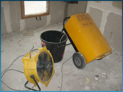 Wynajem Maszyn, Osuszacze Powietrza, Nagrzewnice, Ozonowanie